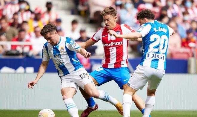 人关注的焦 人关注的焦