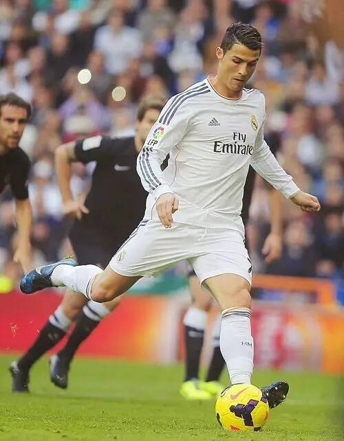 重要特征 重要特征