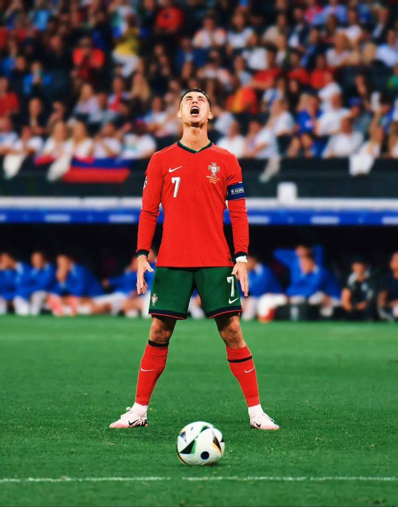 仅是世界冠 仅是世界冠